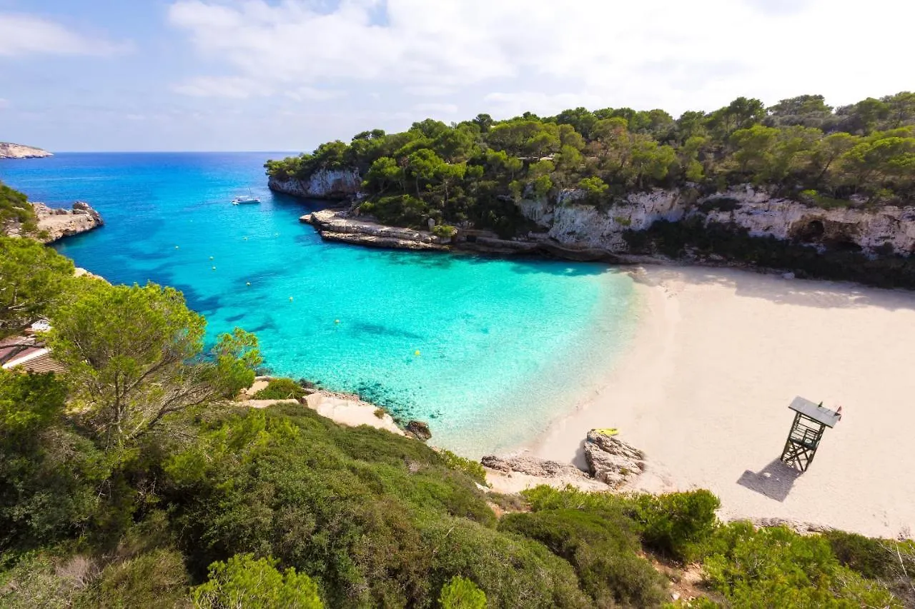 Alcudia Beach B3 Gfb Sea View Daire